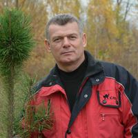 Отзыв от Константин - DTV виза